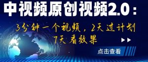 中视频原创视频2.0：3分钟一个视频，2天过计划，7天看效果【揭秘】-吗喽副业资源站