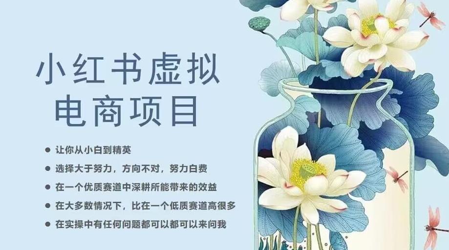 小红书虚拟电商从0到1，让你从小白到精英（20节实操课程）-吗喽副业资源站