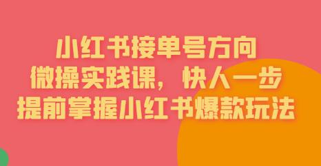 接单号方向·小红书微操实践课，快人一步，提前掌握小红书爆款玩法-吗喽副业资源站