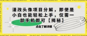 漫改头像项目分解，即使是小白也能轻松上手，仅需一部手机即可【揭秘】-吗喽副业资源站