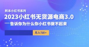 阿本小红书无货源电商3.0，告诉你为什么你小红书做不起来-吗喽副业资源站