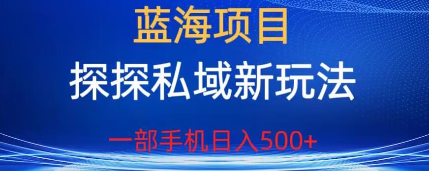 蓝海项目，探探私域新玩法，一部手机日入500+很轻松【揭秘】-吗喽副业资源站