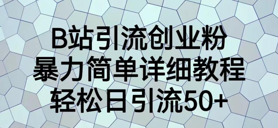 B站引流创业粉，暴力简单详细教程，轻松日引流50+【揭秘】-吗喽副业资源站