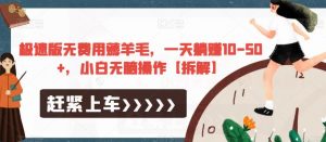 极速版无费用薅羊毛，一天躺赚10-50+，小白无脑操作【拆解】-吗喽副业资源站