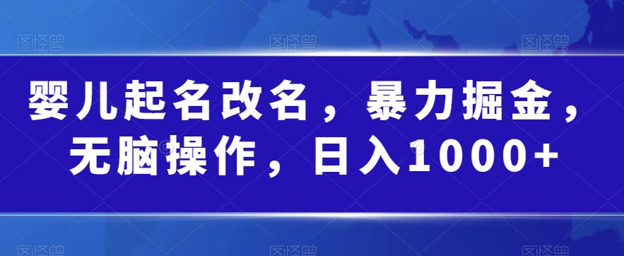 婴儿起名改名，暴力掘金，无脑操作，日入1000+【揭秘】-吗喽副业资源站