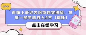 市面上最火男粉项目实操版，仅靠一部手机月入3万【揭秘】-吗喽副业资源站