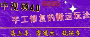 中视频4.0赛道：新手福音，一小时制作，三天过计划，7天看效果【揭秘】-吗喽副业资源站