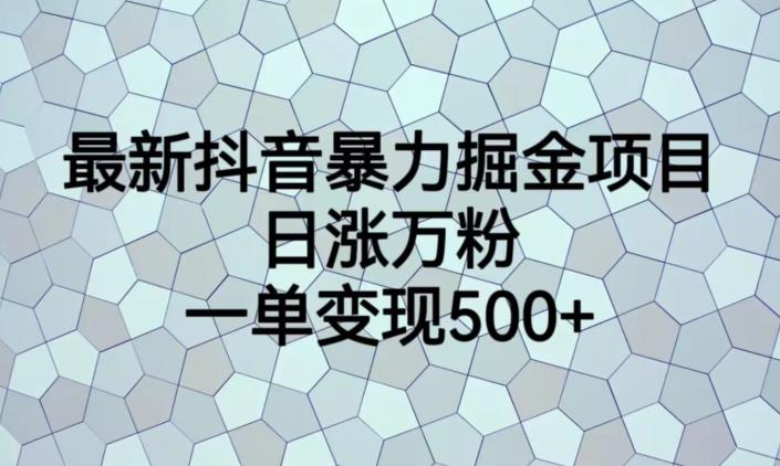 最新抖音暴力掘金项目，日涨万粉，一单变现500+【揭秘】-吗喽副业资源站