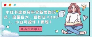 小红书虚拟资料全新思路玩法，流量巨大，轻松日入300+，小白可操作【揭秘】-吗喽副业资源站