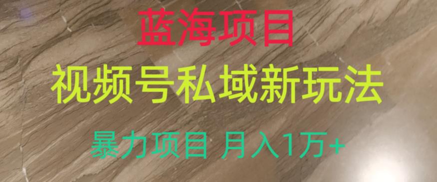 蓝海项目，视频号私域新玩法，暴力项目月入1万+【揭秘】-吗喽副业资源站