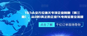 TikTok全方位通关专项企业陪跑【第三期】,从0到1真正的企业TK电商运营全流程-吗喽副业资源站