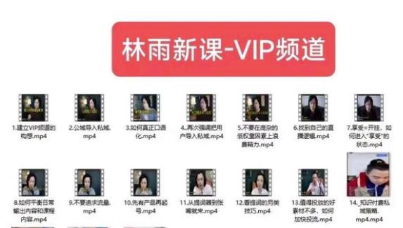 林雨新课VIP频道，玩赚私域/朋友圈/社群-吗喽副业资源站