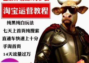 猫老师·淘系算法逆向解密,纯黑纯白玩法,七天上首页纯搜索,手淘首页14天流量过万-吗喽副业资源站