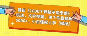 最新《1000个野路子信息差》玩法，文字视频，单个作品暴粉5000+，小白轻松上手【揭秘】-吗喽副业资源站