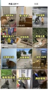 拆解：抖音盘点类中视频变现副业项目，视频版一条龙大解析分享给你-吗喽副业资源站