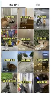 拆解抖音盘点类中视频变现副业项目，视频版一条龙大解析分享给你【视频课程】-吗喽副业资源站