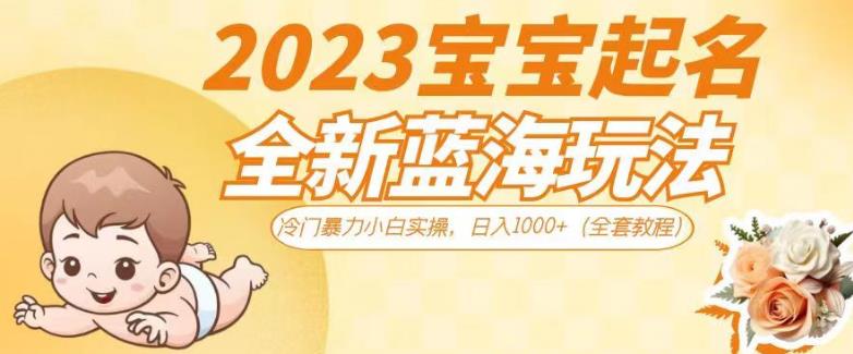 2023宝宝起名全新蓝海玩法，冷门暴力小白实操，日入1000+（全套教程）【揭秘】-吗喽副业资源站