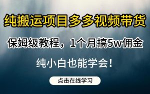 纯搬运项目多多视频带货保姆级教程，1个月搞5w佣金，纯小白也能学会【揭秘】-吗喽副业资源站