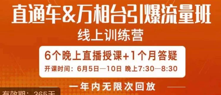 直通车&万相台引爆流量班，6天打通你开直通车·万相台的任督二脉-吗喽副业资源站