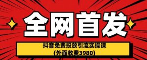 全网首发：抖音免费投放引流实操课(外面收费3980)【揭秘】-吗喽副业资源站