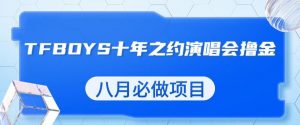 最新蓝海项目，靠最近非常火的TFBOYS十年之约演唱会流量掘金，八月必做的项目【揭秘】-吗喽副业资源站
