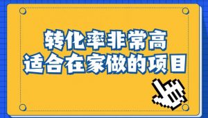 小红书虚拟电商项目：从小白到精英（视频课程+交付手册）-吗喽副业资源站
