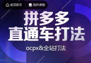 互力·拼多多直通车打法，ocpx&全站打法-吗喽副业资源站