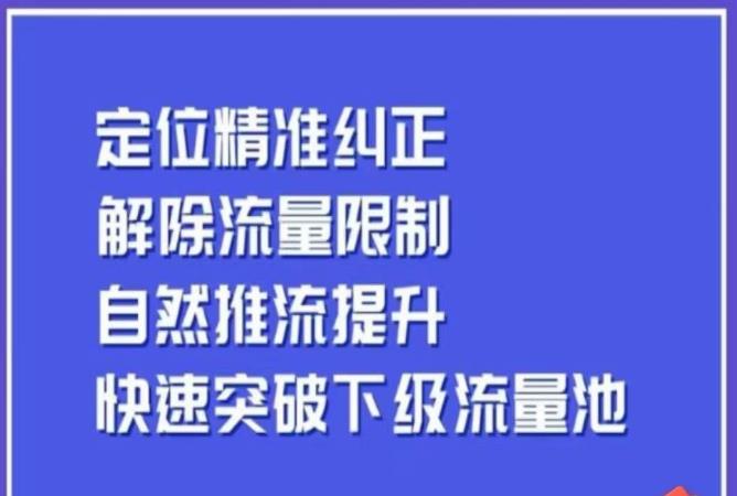 同城账号付费投放运营优化提升，​定位精准纠正，解除流量限制，自然推流提升，极速突破下级流量池-吗喽副业资源站