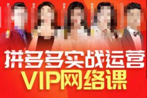推易拼多多VIP全套直播课程,拼多多店铺实操玩法+实战玩法选款内功+直通车高阶等-吗喽副业资源站