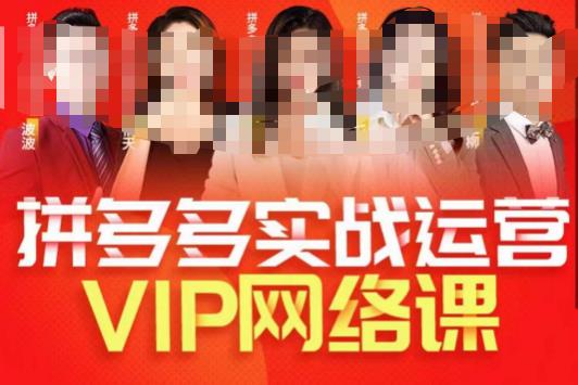 推易拼多多VIP全套直播课程，拼多多店铺实操玩法+实战玩法选款内功+直通车高阶等-吗喽副业资源站