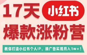 17天小红书爆款涨粉营（广告变现方向），教你打造小红书博主IP、接广告变现的-吗喽副业资源站