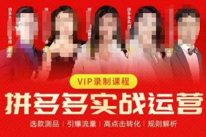 2023推易拼多多实战运营，选款测品、引爆流量、高点击转化、规则解析-吗喽副业资源站