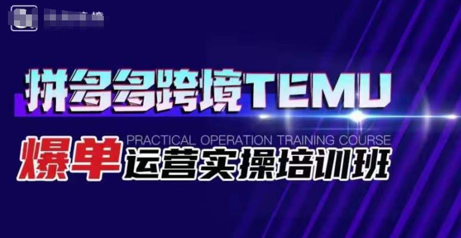 拼多多跨境TEMU爆单运营实操培训班，海外拼多多的选品、运营、爆单-吗喽副业资源站
