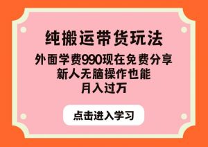 纯搬运带货玩法，外面学费990现在免费分享，新人无脑操作也能月入过万【揭秘】-吗喽副业资源站