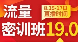 秋秋线上流量密训班19.0，打通流量关卡，线上也能实战流量破局-吗喽副业资源站