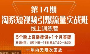 南掌柜·淘系短视频引爆流量实战班，​短视频是一个没有天花板的流量入口-吗喽副业资源站