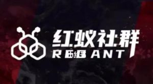 社群运营：红蚁社群【48节落地系统课程+2000人高端社群】-吗喽副业资源站