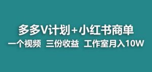 【蓝海项目】多多v计划+小红书商单一个视频三份收益工作室月入10w-吗喽副业资源站