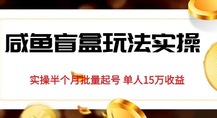 独家首发咸鱼盲盒玩法实操，半个月批量起号单人15万收益【揭秘】-吗喽副业资源站