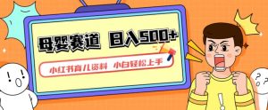小红书育儿资料,一部手机可操作,多种变现方式,日入500+,私域变现,长期可持续项目【揭秘】-吗喽副业资源站