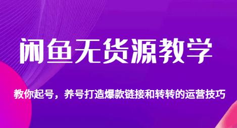 闲鱼无货源教学，教你起号，养号打造爆款链接以及转转的运营技巧-吗喽副业资源站