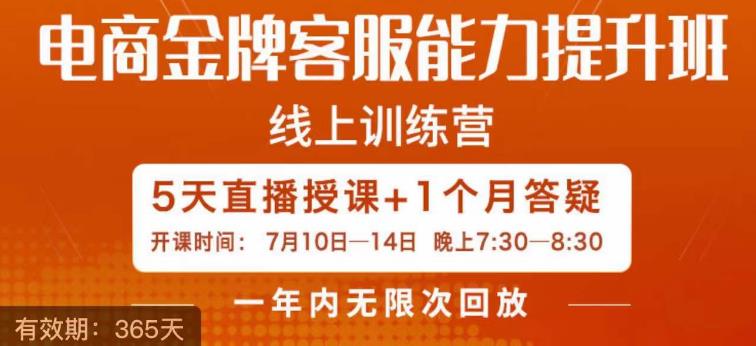 电商金牌客服能力提升班，提升客服能力是你店铺业绩的关键要素-吗喽副业资源站