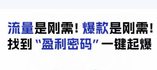 电商盈利精品课：6大盈利密码让产品更好卖，流量是刚需！爆款是刚需！找到”盈利密码”一键起爆-吗喽副业资源站