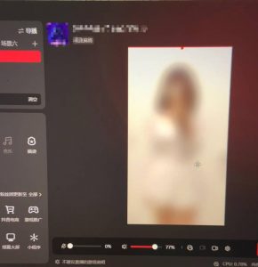 花费1980学来的抖音花屏撸门票，很多人一场收入1000+，各大工作室正在玩的项目【搭建教程+素材+工具】-吗喽副业资源站