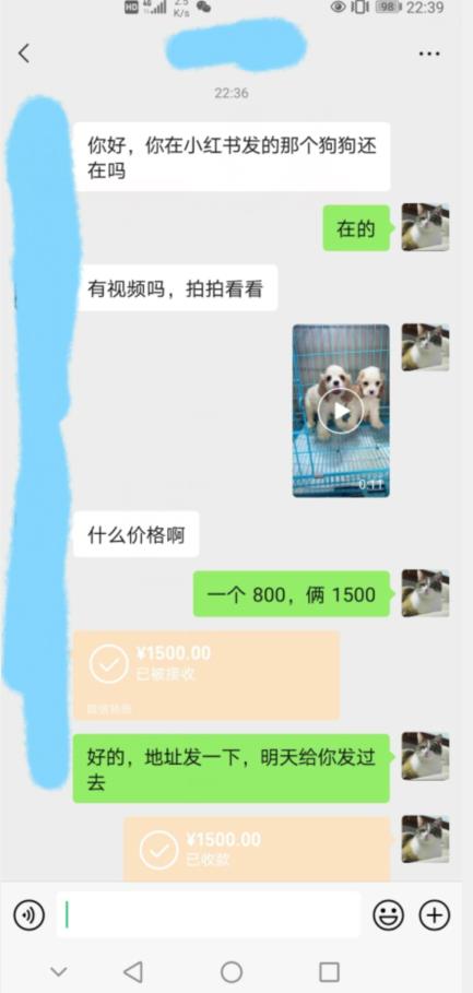 外边收费3980的同城萌宠项目，用最冷门的玩法冲击最热门的市场【揭秘】-吗喽副业资源站