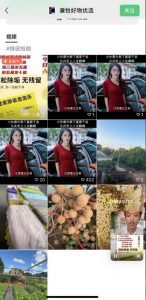 外面收费198的最新视频号连怼技术，条条原创，条条爆单【揭秘】-吗喽副业资源站