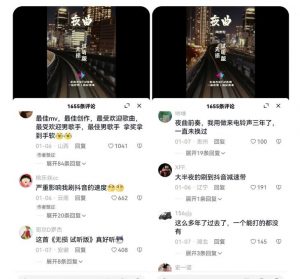 副业拆解：抖音杰伦音乐号涨粉变现项目，视频版一条龙实操玩法分享给你-吗喽副业资源站