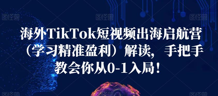 海外TikTok短视频出海启航营（学习精准盈利）解读，手把手教会你从0-1入局！-吗喽副业资源站