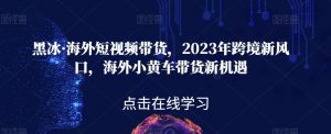 黑冰·海外短视频带货,2023年跨境新风口,海外小黄车带货新机遇-吗喽副业资源站