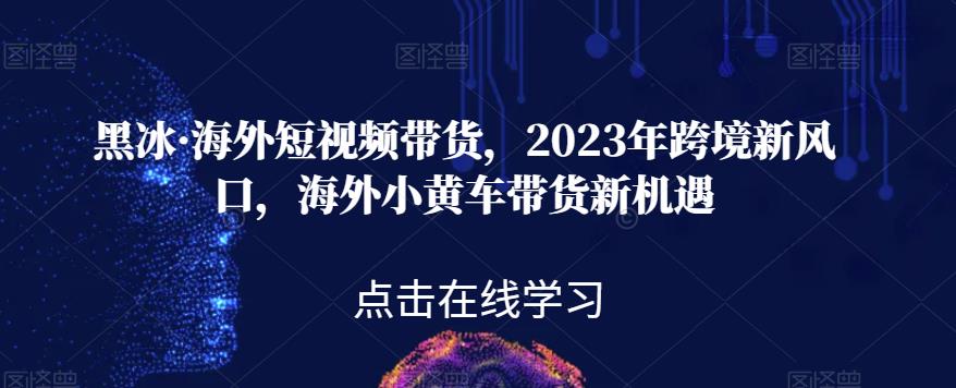 黑冰·海外短视频带货，2023年跨境新风口，海外小黄车带货新机遇-吗喽副业资源站